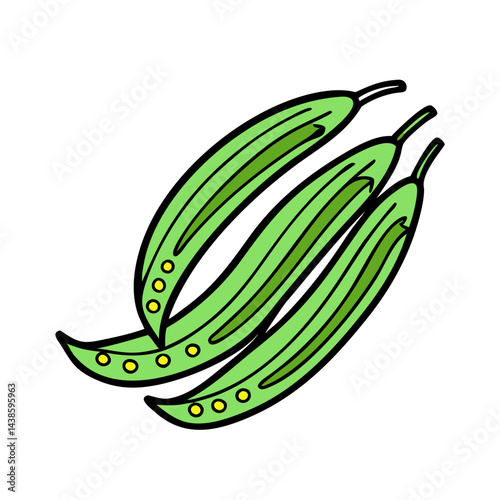 Fresh green beans illustration vector image healthy food vegetable garden organic farm produce nutrition