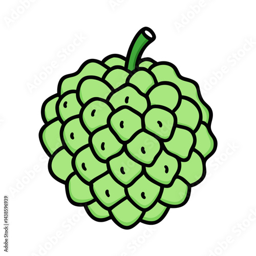 Illustration of a green custard apple fruit tropical sweetsop annona squamosa dessert food art
