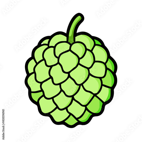 Illustration of a green sugar apple fruit custard apple sweetsop tropical fruit dessert food plant