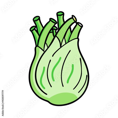 Fennel bulb vegetable illustration fresh organic food healthy eating anise flavor ingredient