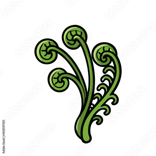 Vector illustration of green fern fiddleheads uncurling in spring nature botanical art