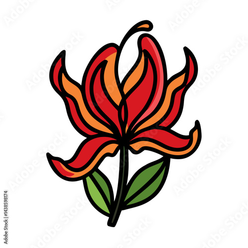Illustration of a beautiful flame lily flower with red and orange petals and green leaves