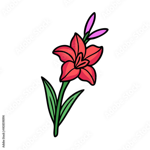 Illustration of red gladiolus flower with green leaves and pink buds floral design element art