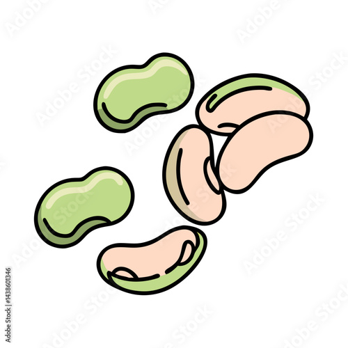 Isolated lima beans illustration: healthy eating, vegan protein source, fresh vegetables, beans