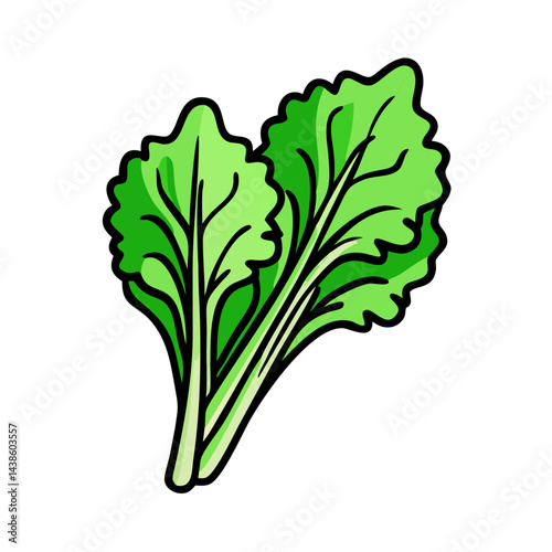 Fresh green leafy vegetables vector illustration for healthy eating and salad ingredient design