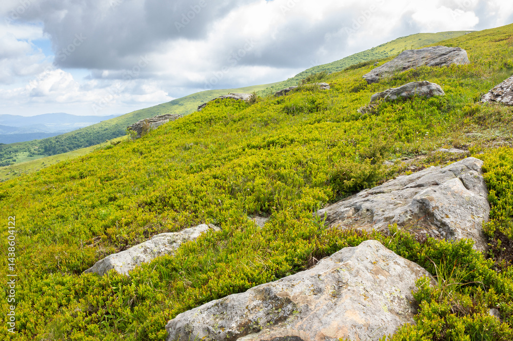 beautiful scenery of Carpathians in dappled light. adventure season. wonderful summer landscape in mountains on a cloudy day. scenic view from the slope of hill. mountain smooth known as runa, ukraine beautiful scenery of Carpathians in dappled light. adventure season. wonderful summer landscape in mountains on a cloudy day. scenic view from the slope of hill. mountain smooth known as runa, ukraine