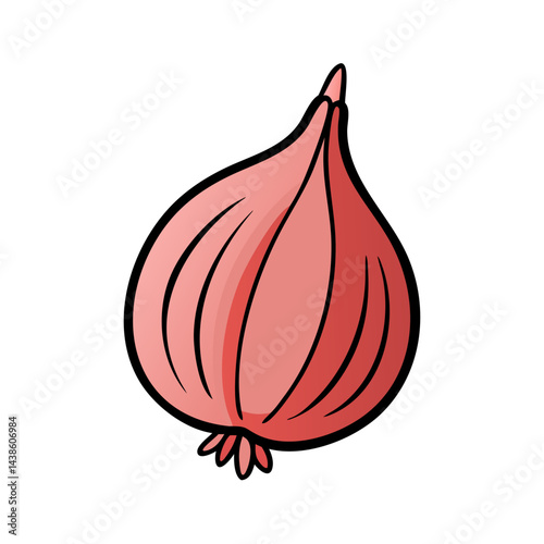 Isolated shallot vegetable illustration for cooking recipes and healthy eating concepts design vector