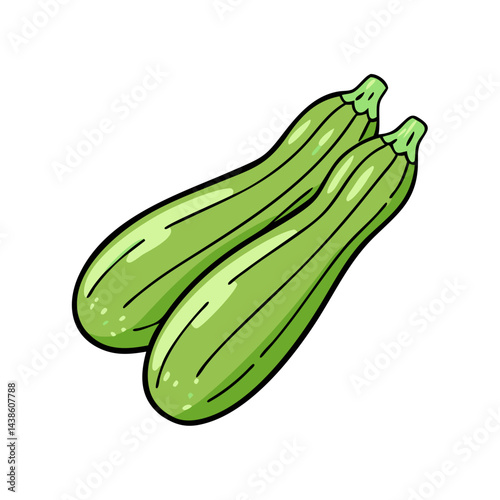 Fresh green zucchini vegetables illustration for healthy eating and cooking recipes concept art