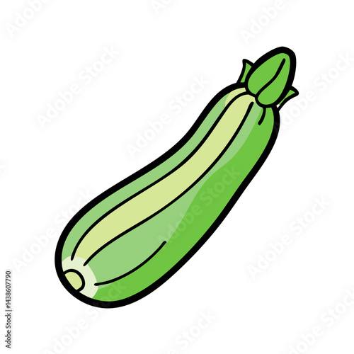 Isolated fresh green zucchini vegetable illustration for healthy eating and cooking needs