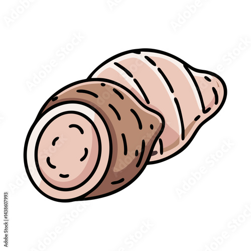 Isolated fresh ginger root vector illustration for healthy eating and cooking ingredients concept