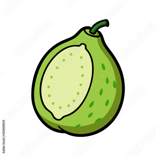 Illustration of a green guava fruit with a cut showing the flesh and seeds inside drawing