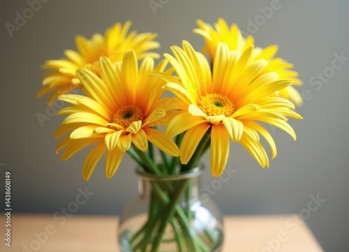 Wallpaper Mural Vibrant Yellow Gerbera Daisies in a Glass Vase Torontodigital.ca