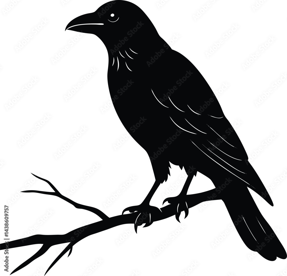 Obraz premium single crow perched on branch
