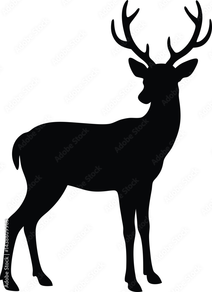 Fototapeta premium single deer with antlers silhouette