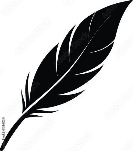 single feather in minimalist design