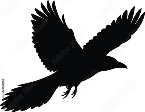 single raven flying