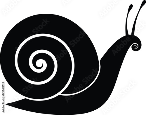 single snail shell spiral