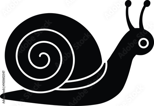 single snail shell spiral
