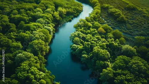 Aerial View of a Winding River Through Lush Green Forest in 4K