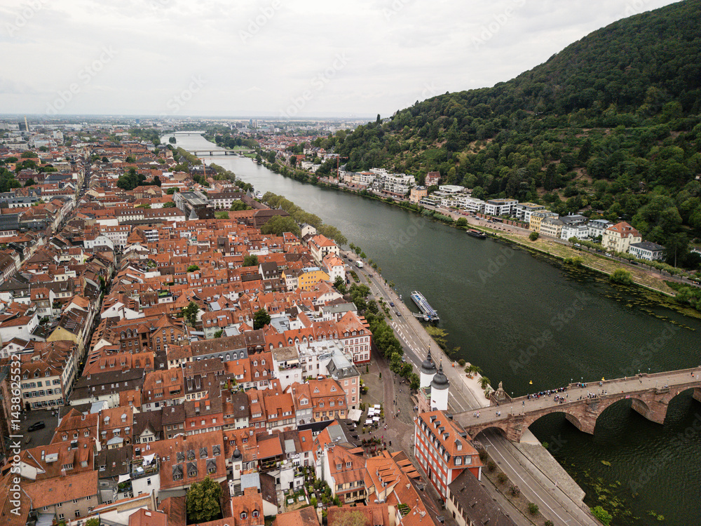 Naklejka premium Scenic aerial view of a vibrant riverside town with terracotta rooftops and lush hills, showcasing urban architecture and natural beauty concept. Heidelberg