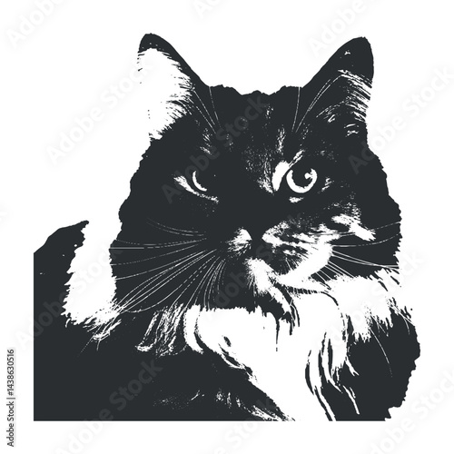 vector illustration of black cat