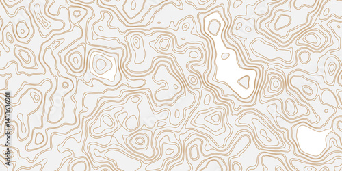 Topographic white and bright light grey stylized line essential for effectively communicating the focus and scope of a map or survey. A well-crafted provides clarity on the geographic area.