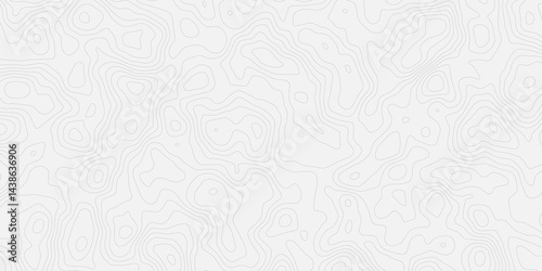 Topographic white and bright light grey stylized line essential for effectively communicating the focus and scope of a map or survey. A well-crafted provides clarity on the geographic area.