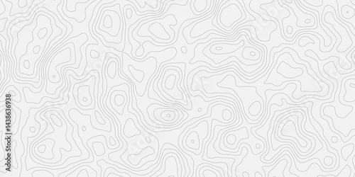 Topographic white and bright light grey stylized line essential for effectively communicating the focus and scope of a map or survey. A well-crafted provides clarity on the geographic area.