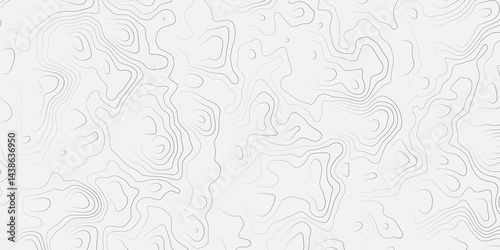 Topographic white and bright light grey stylized line essential for effectively communicating the focus and scope of a map or survey. A well-crafted provides clarity on the geographic area.