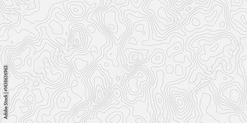 Topographic white and bright light grey stylized line essential for effectively communicating the focus and scope of a map or survey. A well-crafted provides clarity on the geographic area.