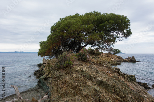 Obraz na płótnie Beautiful scenery by the sea under a cloudy sky in Sithonia, Chalkidiki, Greece w salonie