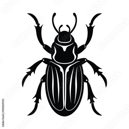 Stylized beetle illustration insect vector black and white design bug graphic detailed drawing art