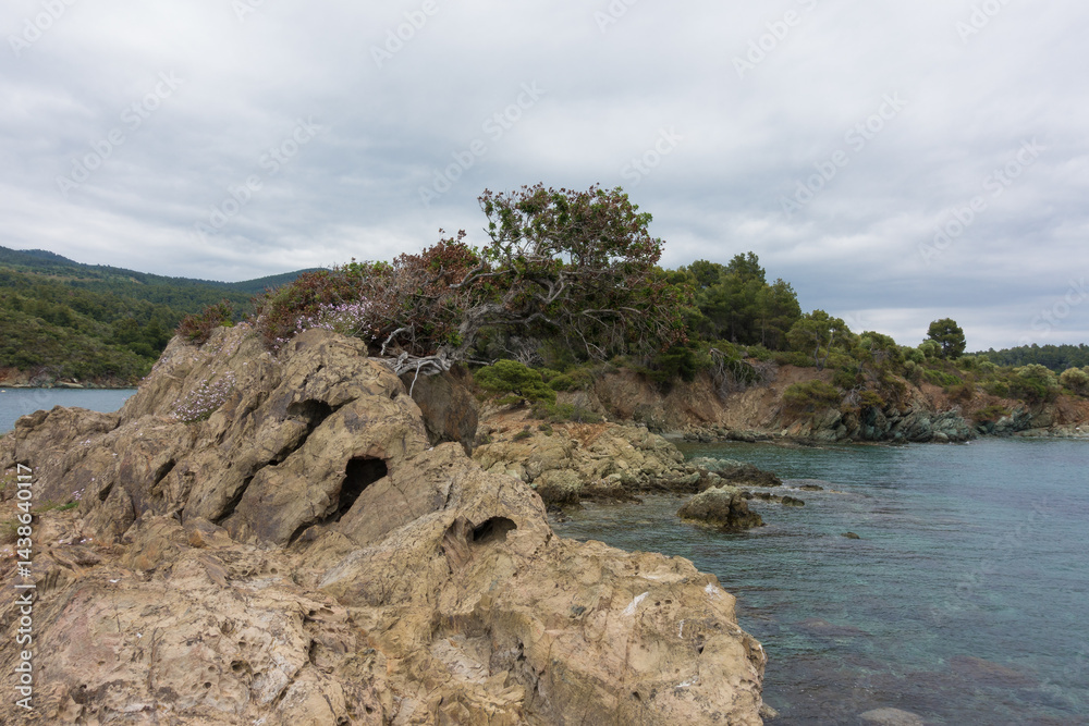 Beautiful scenery by the sea under a cloudy sky in Sithonia, Chalkidiki, Greece