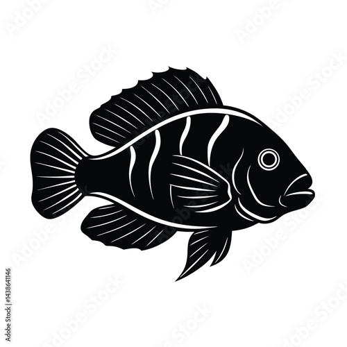 Vector illustration of a black tilapia fish detailed silhouette design for graphics and creative projects