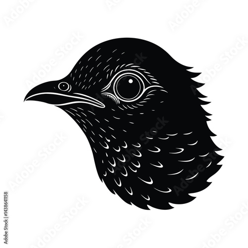 Bird head profile monochrome illustration black and white graphic design wildlife artwork birdwatching ornithology avian
