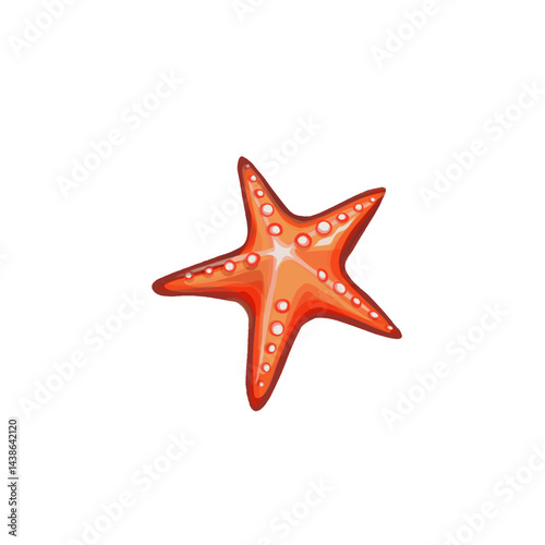 red starfish illustration without background