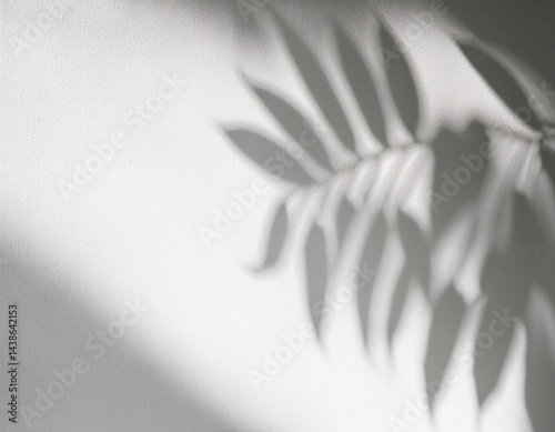 leaf shadow and light on wall background nature tropical leaves tree branch and plant shade with sunlight from sunshine dappled on white wall texture for background wallpaper shadow overlay effect