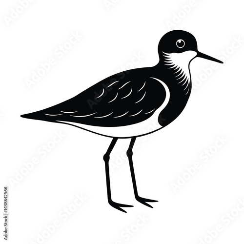 Black and white vector illustration of a solitary sandpiper bird standing profile view simple graphic