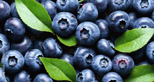 Obraz na płótnie Fresh blueberry with green leaves. Food background. w salonie