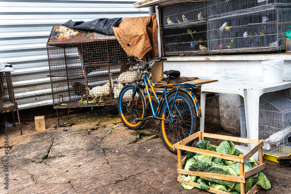 Living animals in Vero-o-Peso market at Belem do Para, Brazil, the famous Public Market in Belem.