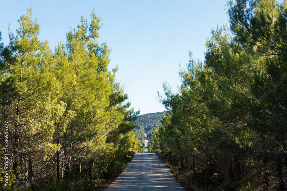 Road through gorgeous mountain scenery in Chalkidiki, central Macedonia, Greece