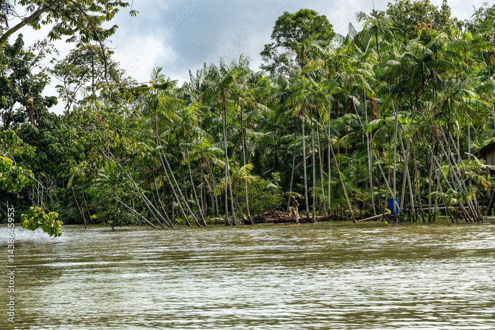 River boat tour on the Guama River at Belem do Para, a city on the north area of Brazil.
