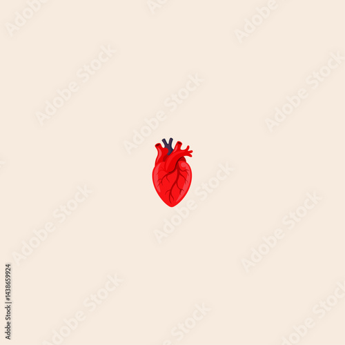 Colorful real human heart icon flat vector design.