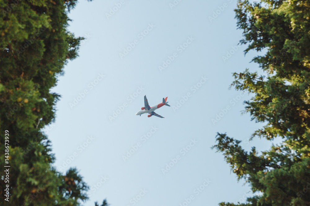 An Airplane Flying Gracefully Over Tall Green Trees Under a Clear, Bright Blue Sky