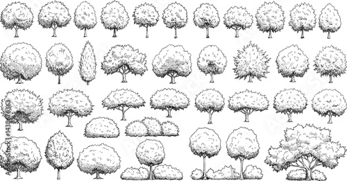 Vector set of Top view green tree for outdoor plan or map and architecture drawing