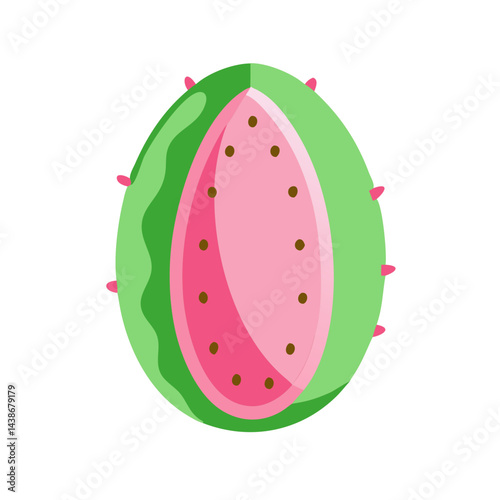 watermelon vector illustration