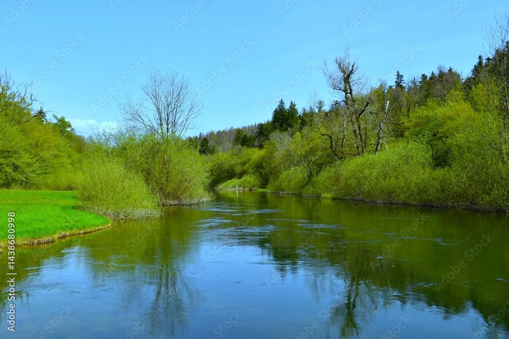 View of Rak river with a forest on the shore in Rakov Škocjan, Notranjska, Slovenia