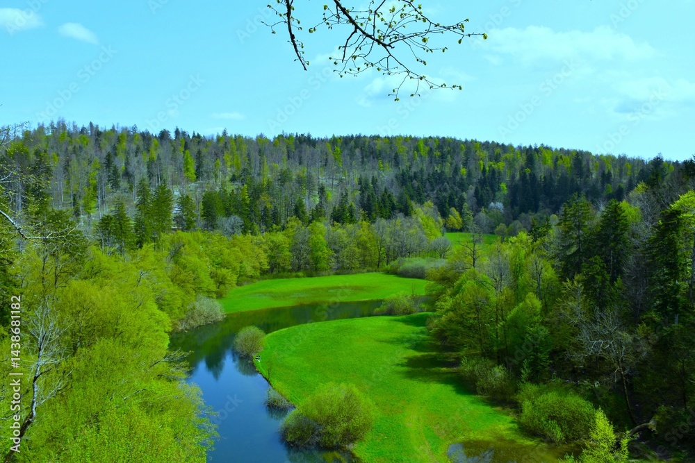 Beautiful view of Rak river flowing next to green meadow and a forest above in springtime in Rakov škocjan in Notranjska, Slovenia
