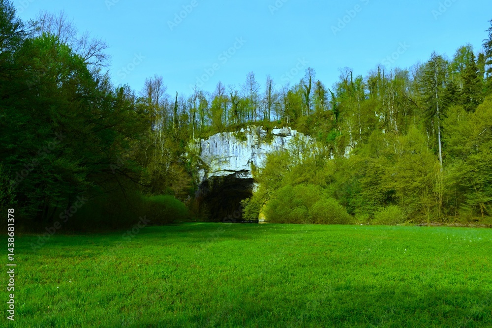 Green meadow at the Big natural bridge in Rakov Škocjan, Notranjska, Slovenia
