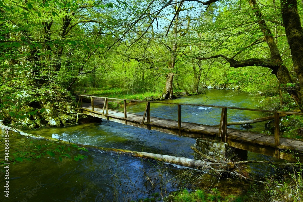 Wooden bridge over Rak river flowing throug a forest in Rakov Škocjan in Notranjska, Slovenia